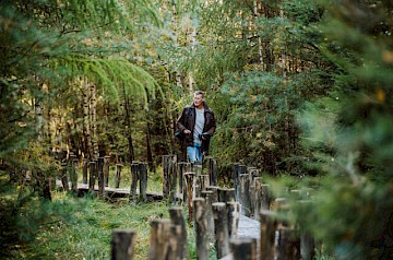 Planken Pad Drenthe