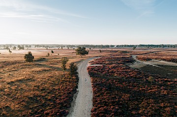 Dwingelderveld: stilste gebied van Nederland – Hotel De Stobbe